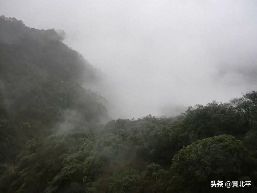 重庆市南川区金佛山