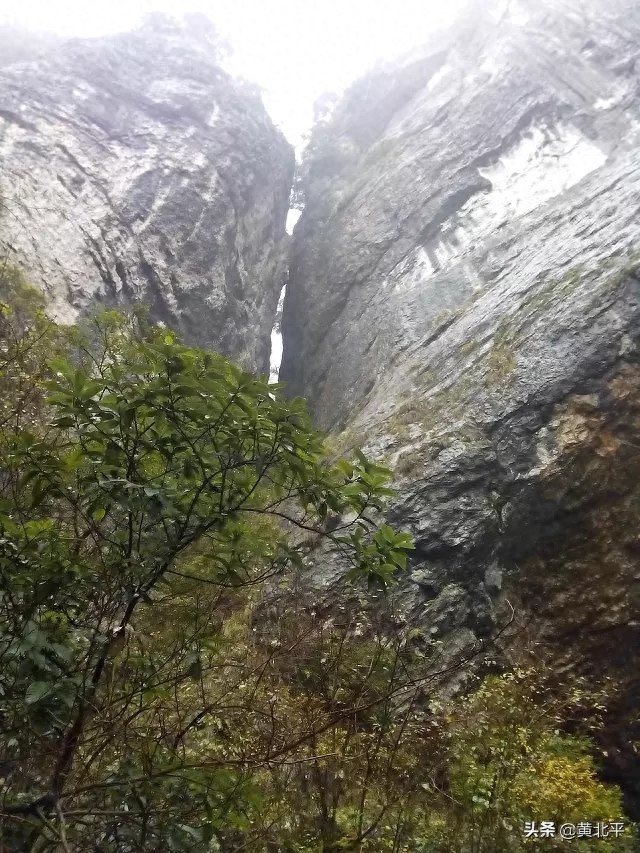 重庆市南川区金佛山