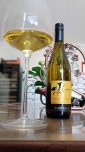 ​白起泡葡萄酒 雅 干白葡萄酒和起泡酒