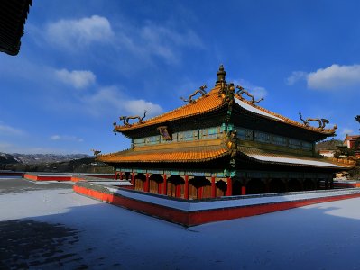 ​10个亭亭玉立的带懿字女宝宝名，简直是名字界里的一股清流