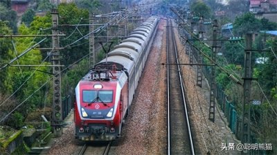 ​Z25次由武昌开往上海南，全程仅停靠五站，多个大型车站直接跨越