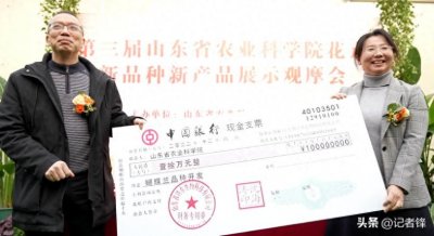 ​一株蝴蝶兰卖出10万元！它有何特别之处？