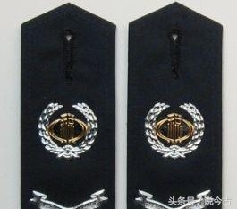 这些执法部门的肩章你都认识吗？不认识赶紧来看看