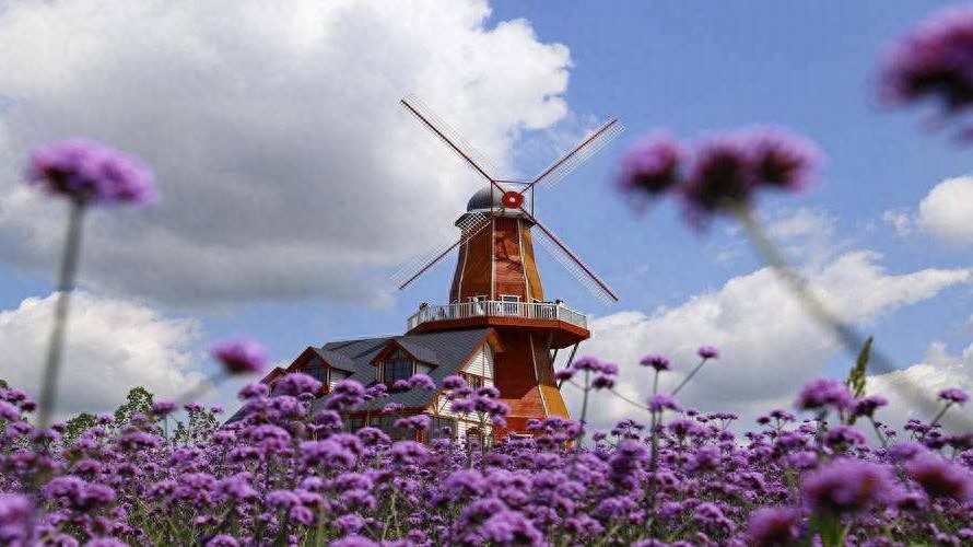 普罗旺斯，最美薰衣草之乡，唯美景不可辜负