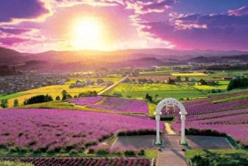 普罗旺斯，最美薰衣草之乡，唯美景不可辜负