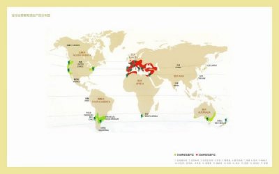 ​葡萄酒新方向(葡萄酒方向研究生 相关课程)