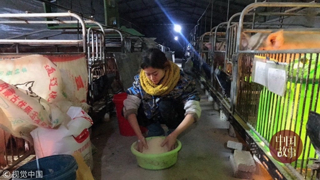 90后女孩年入百万与猪同床睡 为猪做人工呼吸