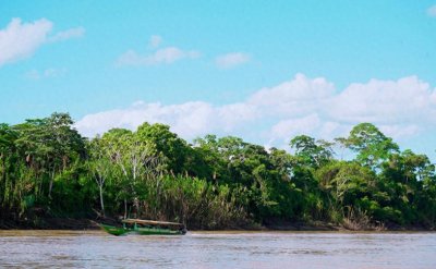 ​亚马逊雨林被称为动物天堂，实则是人类禁区，为什么如此恐怖？