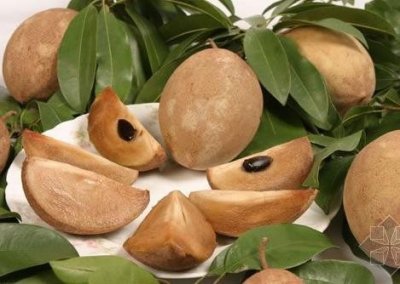 ​人心果的营养价值-人心果的功效与作用