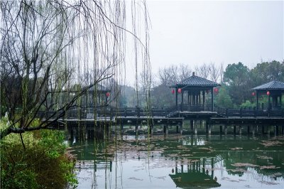 ​春秋淹城遗址：生态画卷春色浓