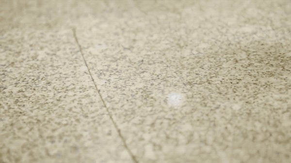 世界上最大最豪华的房车介绍(世界顶级豪华房车图片)-图24