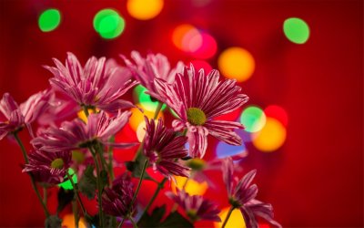 ​七月一日是什么节（七月一日是建党节）