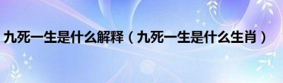 ​九死一生是什么生肖（九死一生指的是什么生肖）
