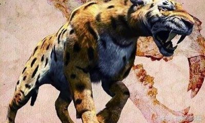 ​消失的史前猛兽王者——巴博剑齿虎，最凶猛的陆地食肉兽有多猛？