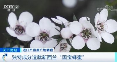 ​蜂蜜还能抗菌又抗氧化？新西兰“国宝蜂蜜”，了解一下？