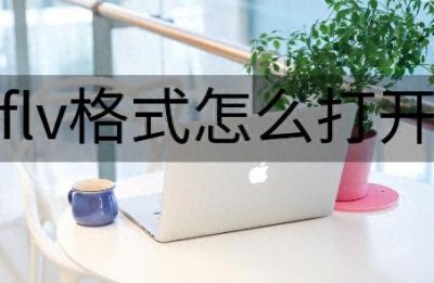 ​flv格式怎么打开-3个方法帮助你