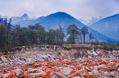 ​四川海螺沟：冰川、温泉与红石滩的壮丽之旅