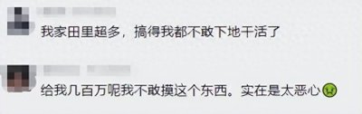 ​这个恶心的玩意竟成了缅甸很多人发财的宝贝！