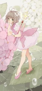 ​百变小樱系列手机壁纸——樱花盛开之际，封印解除之时