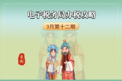 ​实用干货|如何查询一般纳税人资格信息？