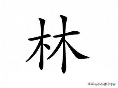 ​百家姓来源：林