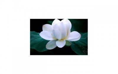 女性手淫阴di的坏处你知道吗