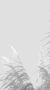 ​白色系高清壁纸 极简主义