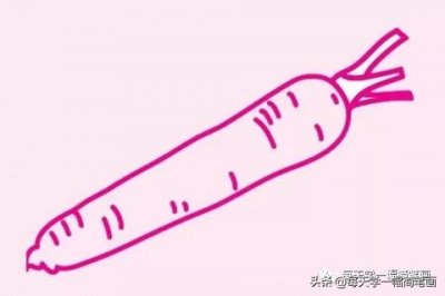 ​每天学一幅简笔画--胡萝卜简笔画简单画法步骤图片大全