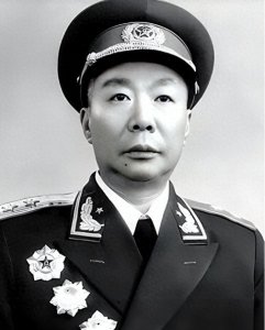 ​贺彪在草地上为郭鹏做手术（上）