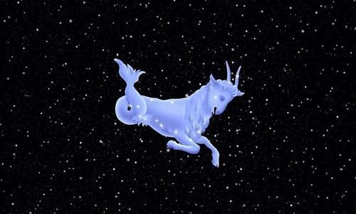 月摩羯和金摩羯如何定义