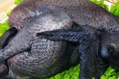 ​黑鸡没有符合什么人吃 怒气兴旺便秘者没有宜吃