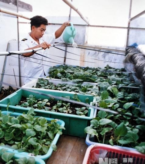 海底淡水,海水是咸的,为什么海底会存在淡水?图6