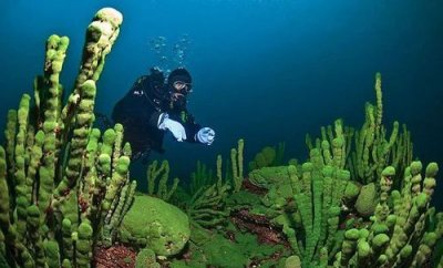 海底淡水，海水是咸的，为什么海底会存在淡水？