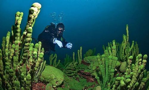 海水是咸的,为什么海底会存在淡水