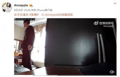 ​严重家暴妻子视频曝光 演员王东回应：终于解脱了