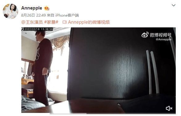 严重家暴妻子视频曝光 演员王东回应:终于解脱了