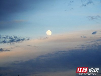 ​我在北疆遭遇“小咬”的奇袭，这种比蚊子还小的昆虫竟这么厉害