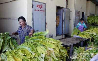 ​“基地+农户” 广昌头陂镇农民脱贫致富奔小康