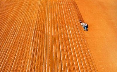 ​湛江农垦：抓农时 备春耕