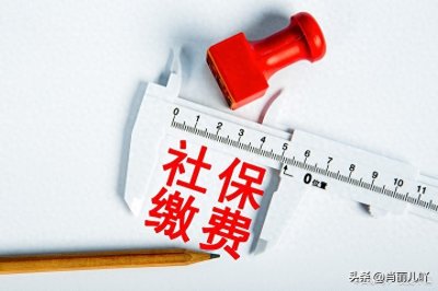 ​怎么查询我的参保缴费记录？