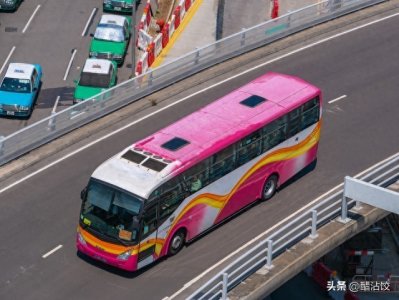 ​惊爆！乘客分享香港返澳途中“血腥”虱虫袭击，全程45分钟遭咬！