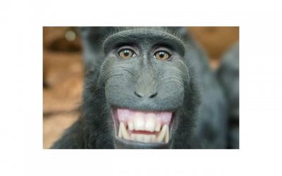 ​什么是太阳天蝎和上升天蝎 双子交界处的性格