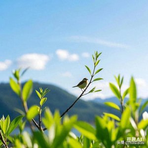 ​20张二十四节气立春图片，提前感受浓浓春意