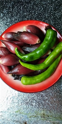 走，去深山“搬”阳荷姜去，对了，您认识阳荷姜吗？