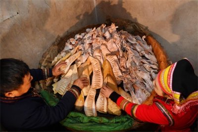 ​湖南瑶族卖山货玉兰片 竹笋变成致富宝