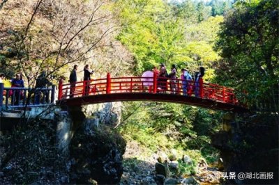​赏金秋红叶，玩丛林野趣，英山桃花冲风景区等你来