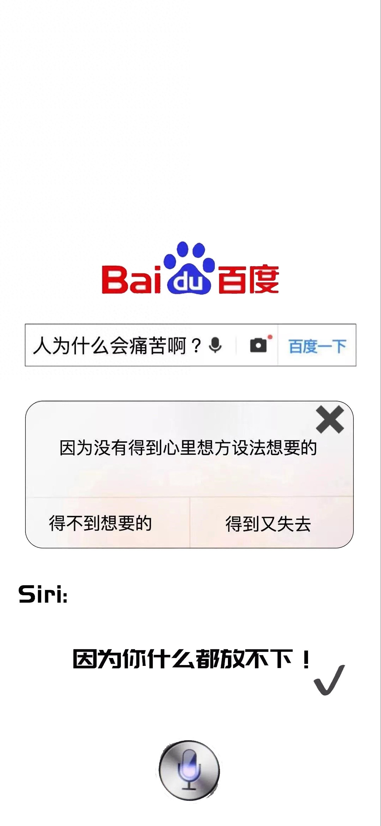 手机壁纸第105期：猫和老鼠高清动漫可爱壁纸，每日精选只为你