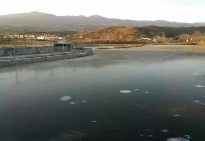 ​这位大妈的公鸡舞跳的太有魔性了！