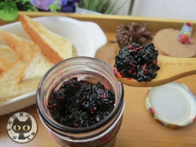 ​桑葚酱的做法（桑葚酱的做法和营养价值）