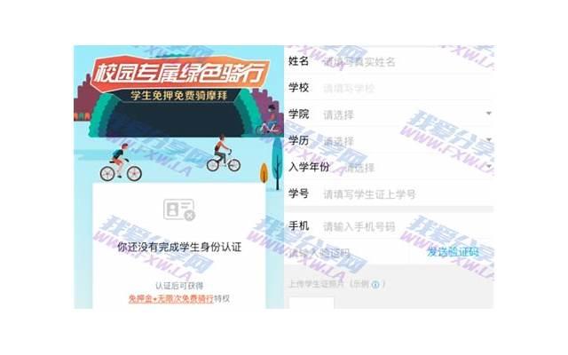 鸽子蛋有营养吗 怎么吃鸽子蛋可以促进壮阳